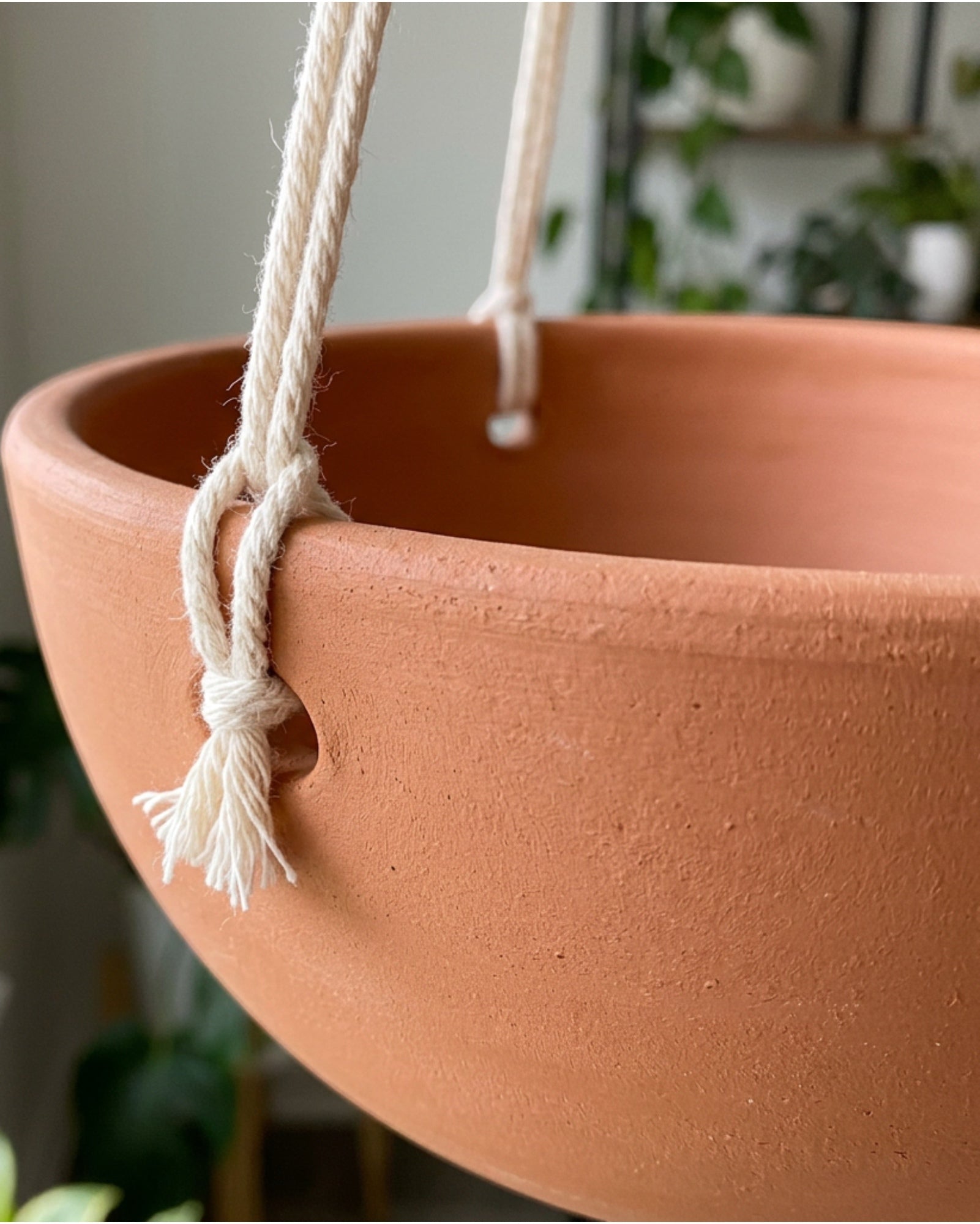 Ambbe Ceramic Hanging Planter Terracotta 8 in