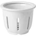 Ambbe Ceramic Orchid Pot White 7 in with Slots