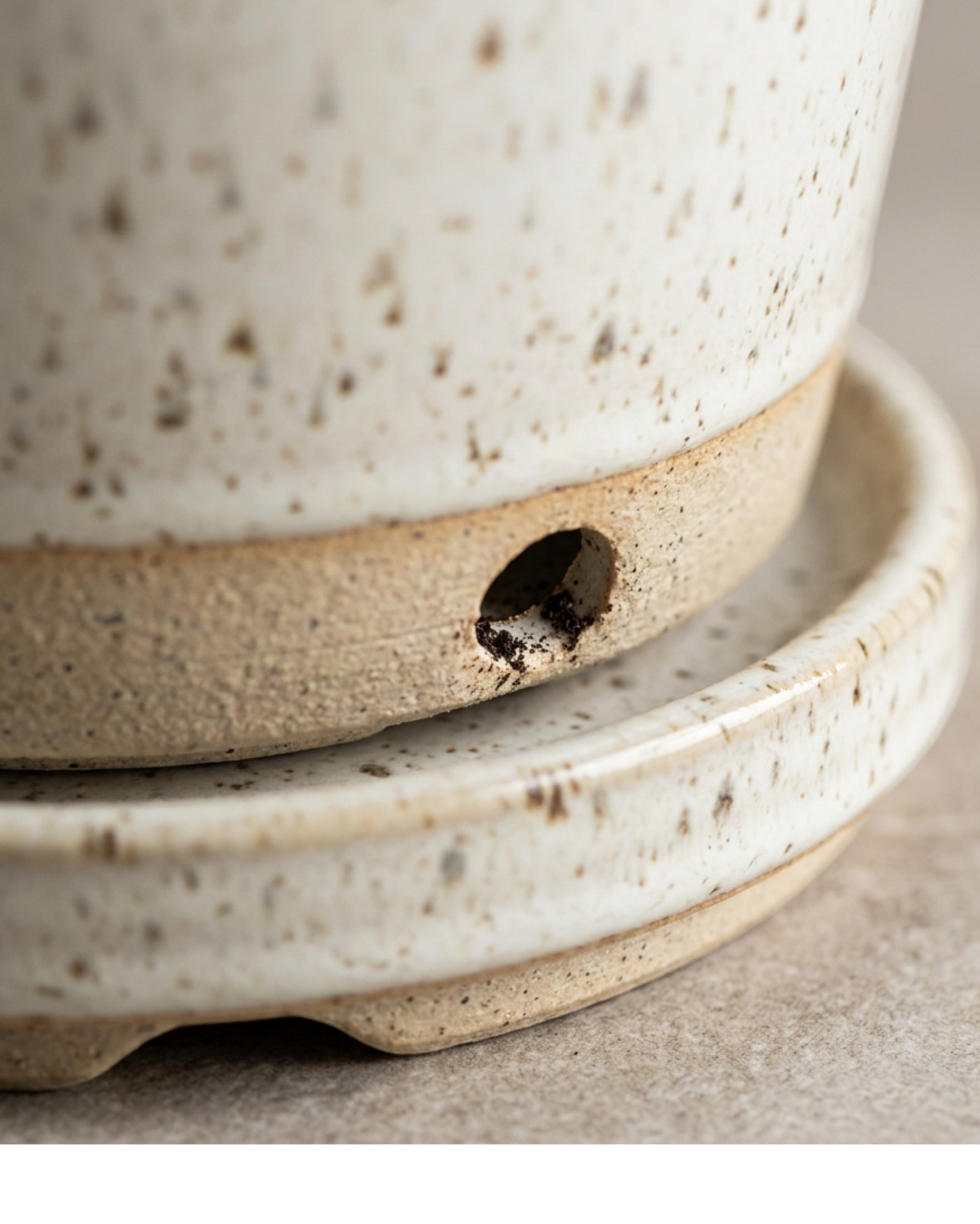 Ambbe Ceramic Planter Ivory Speckle 7 in with Saucer