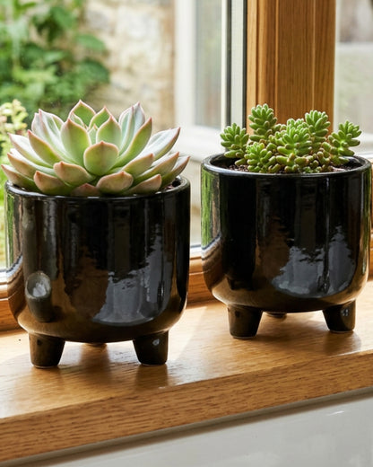 Ambbe Footed Ceramic Planter Black 5 in 2 Pack