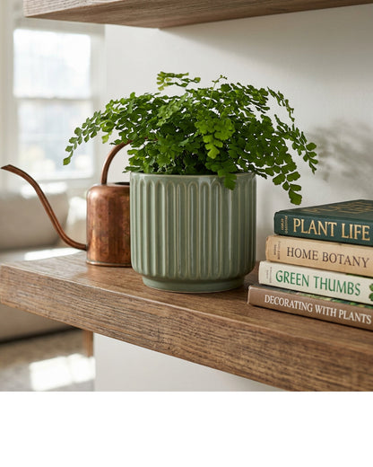 Ambbe Ribbed Ceramic Planter Sage 6 in