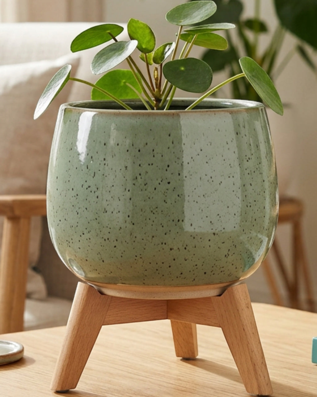 Ambbe Speckled Ceramic Planter 20 cm with Three-Leg Wood Stand Sage - Lifestyle view