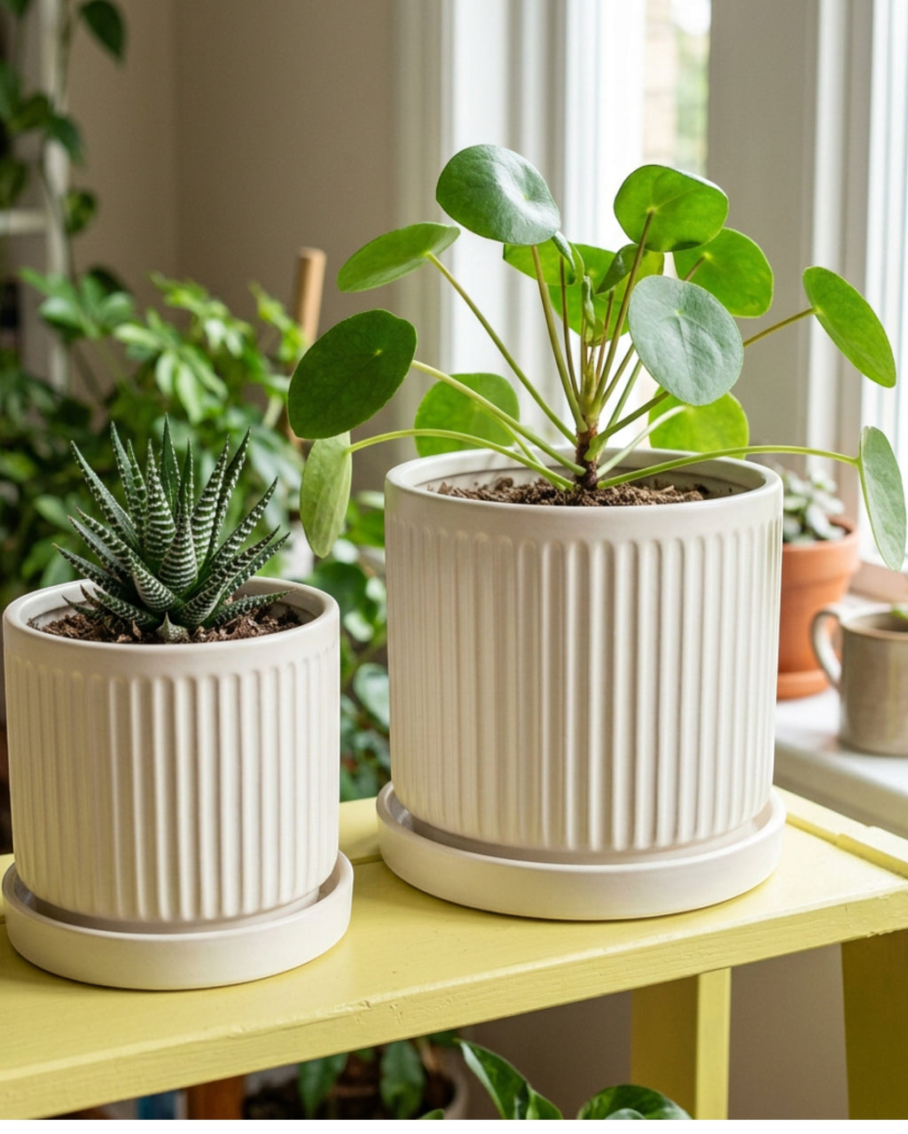 Ambbe Ribbed Ceramic Planter Set of 2 with Saucers Warm White - Lifestyle view